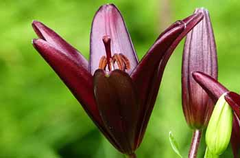 稳定的自助渠道推荐的ddos攻击工具