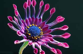 仓储管理平台的DDOS攻击平台