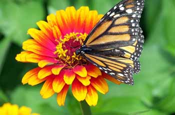 ddos攻击ip软件下载